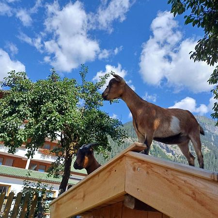 Ferienhof Schoene Aussicht Pfunds Dış mekan fotoğraf